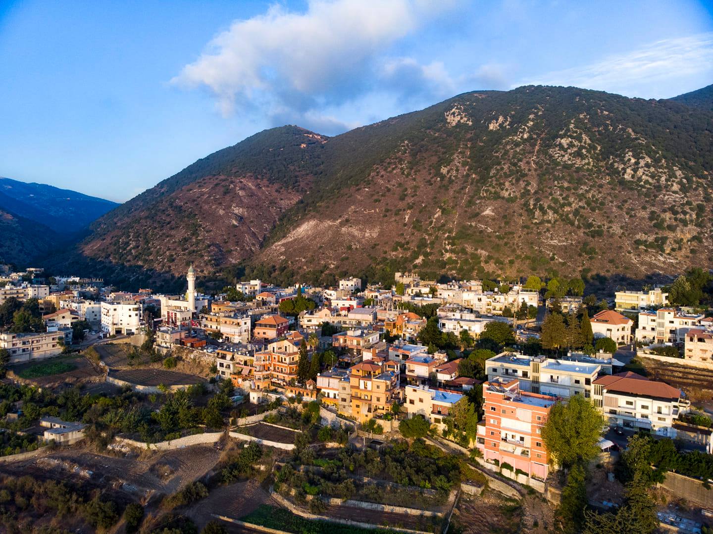 بلدة عربصاليم